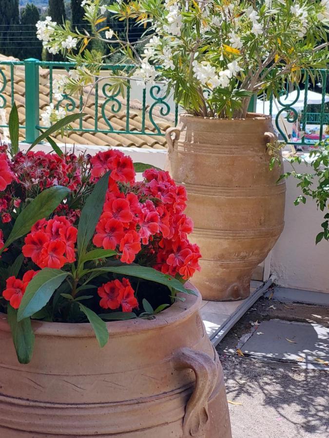 Maria Studios باليوكاستريتسا المظهر الخارجي الصورة